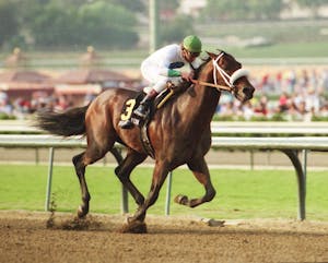 Grand Canyon wins the Oak Tree's Norfolk Stakes.