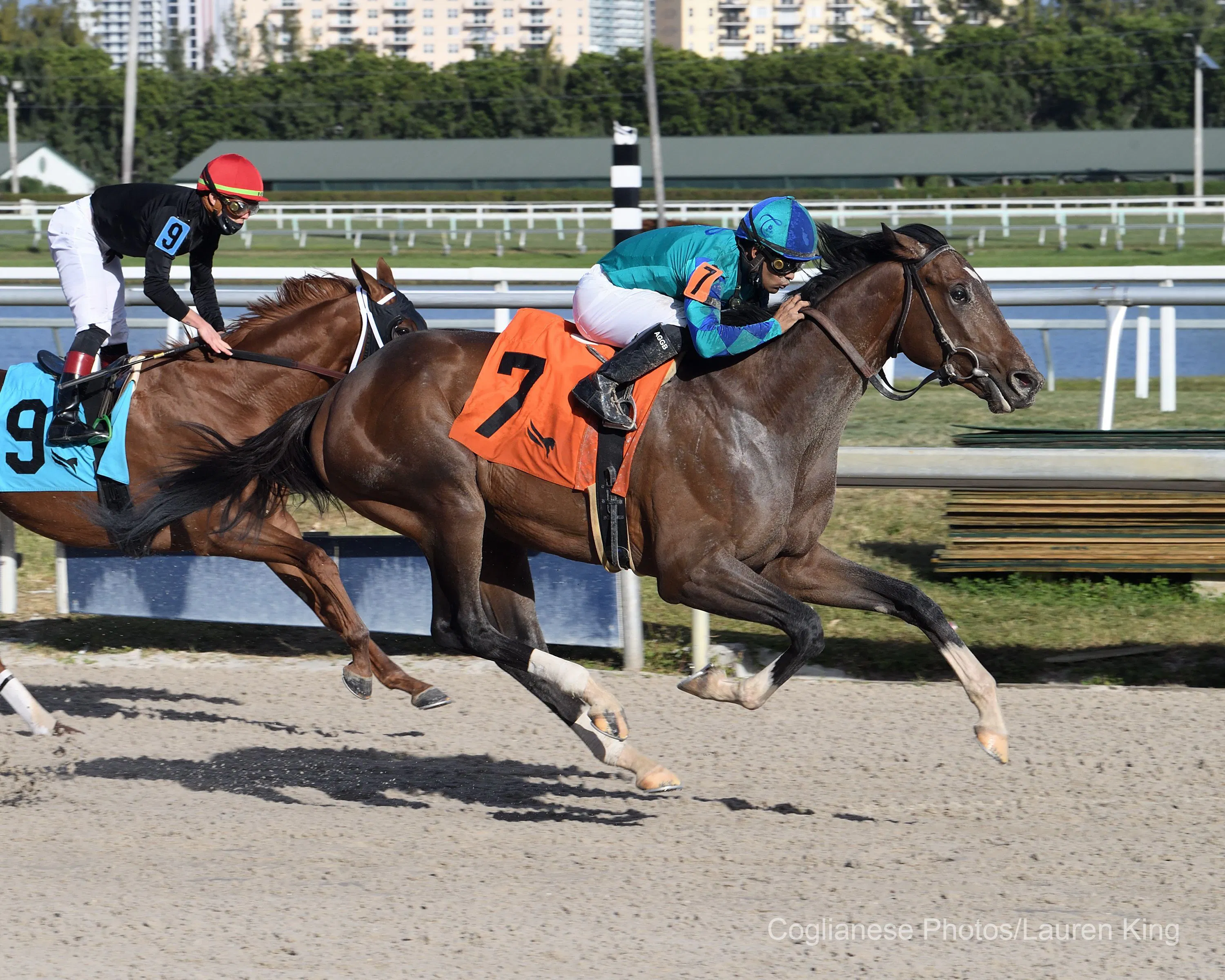 Top plays for the Florida Derby, UAE Derby, and Jeff Ruby St | TwinSpires