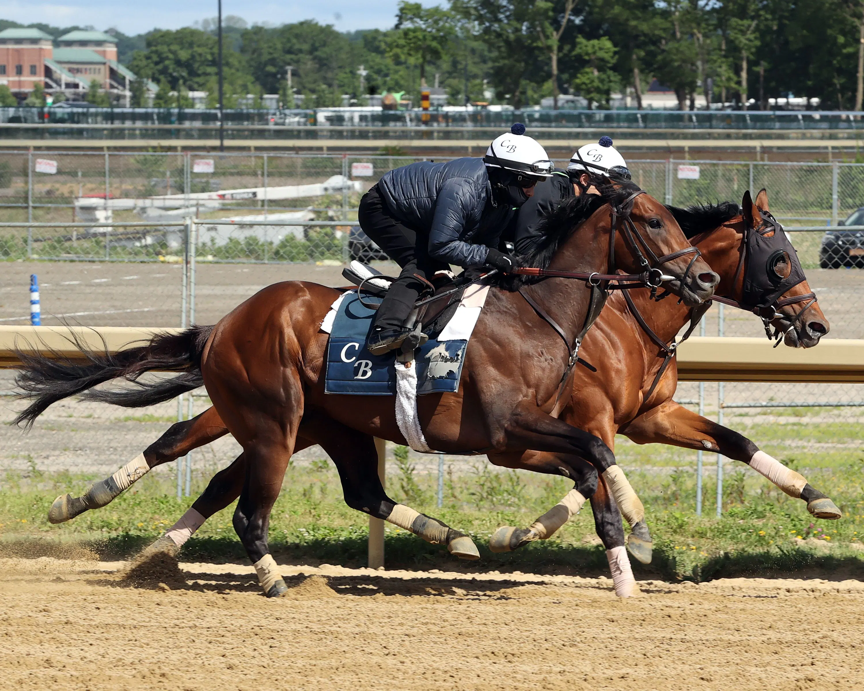 Growth Equity trains for the Belmont Stakes (Photo by Coglianese Photos/Susie Raisher)