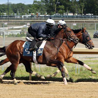 Growth Equity trains for the Belmont Stakes (Photo by Coglianese Photos/Susie Raisher)