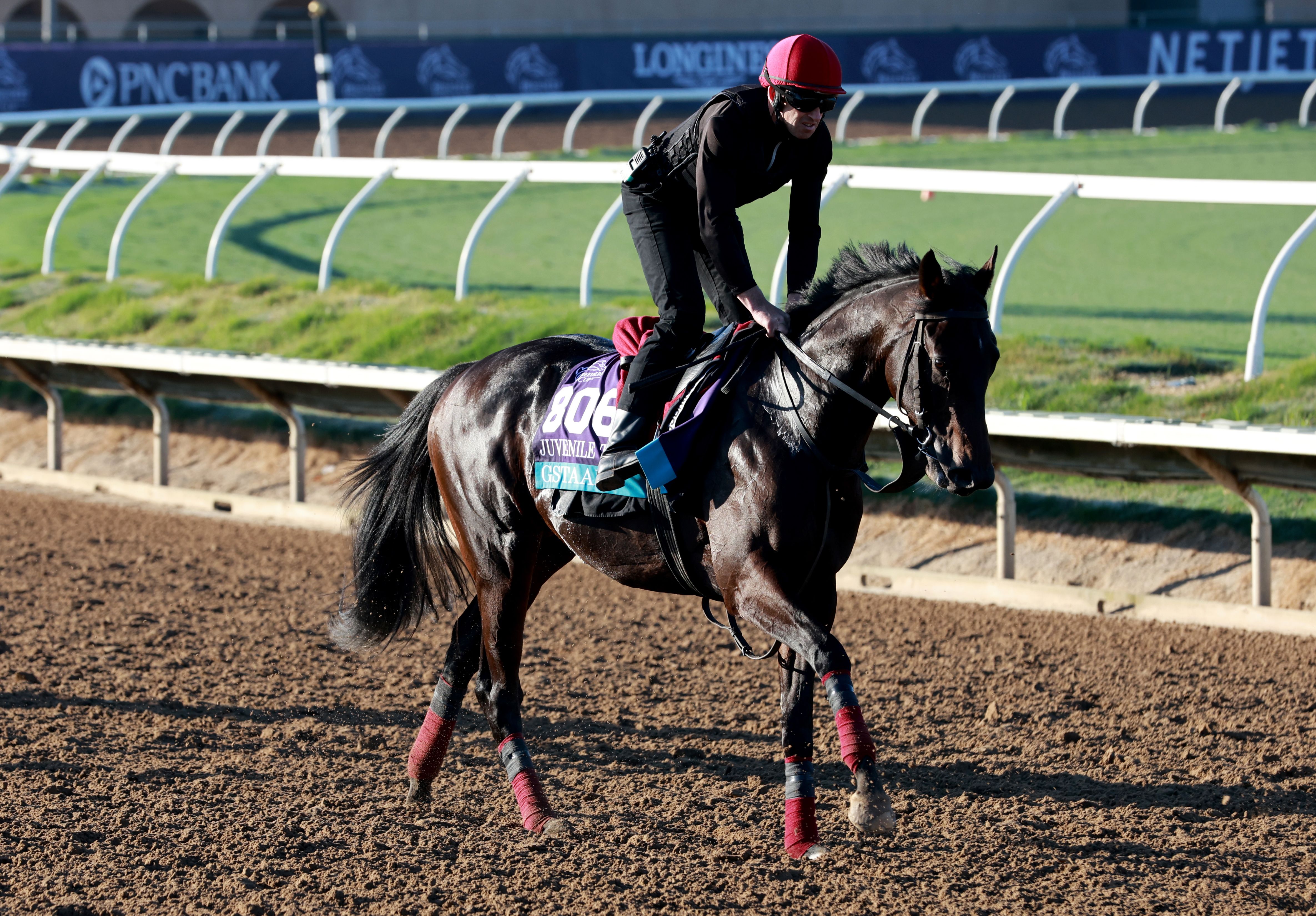 Gstaad training for Breeders' Cup Juvenile Turf at Del Mar