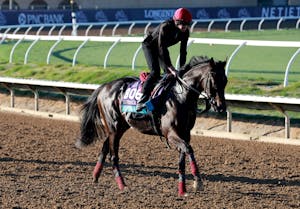 Gstaad training for Breeders' Cup Juvenile Turf at Del Mar