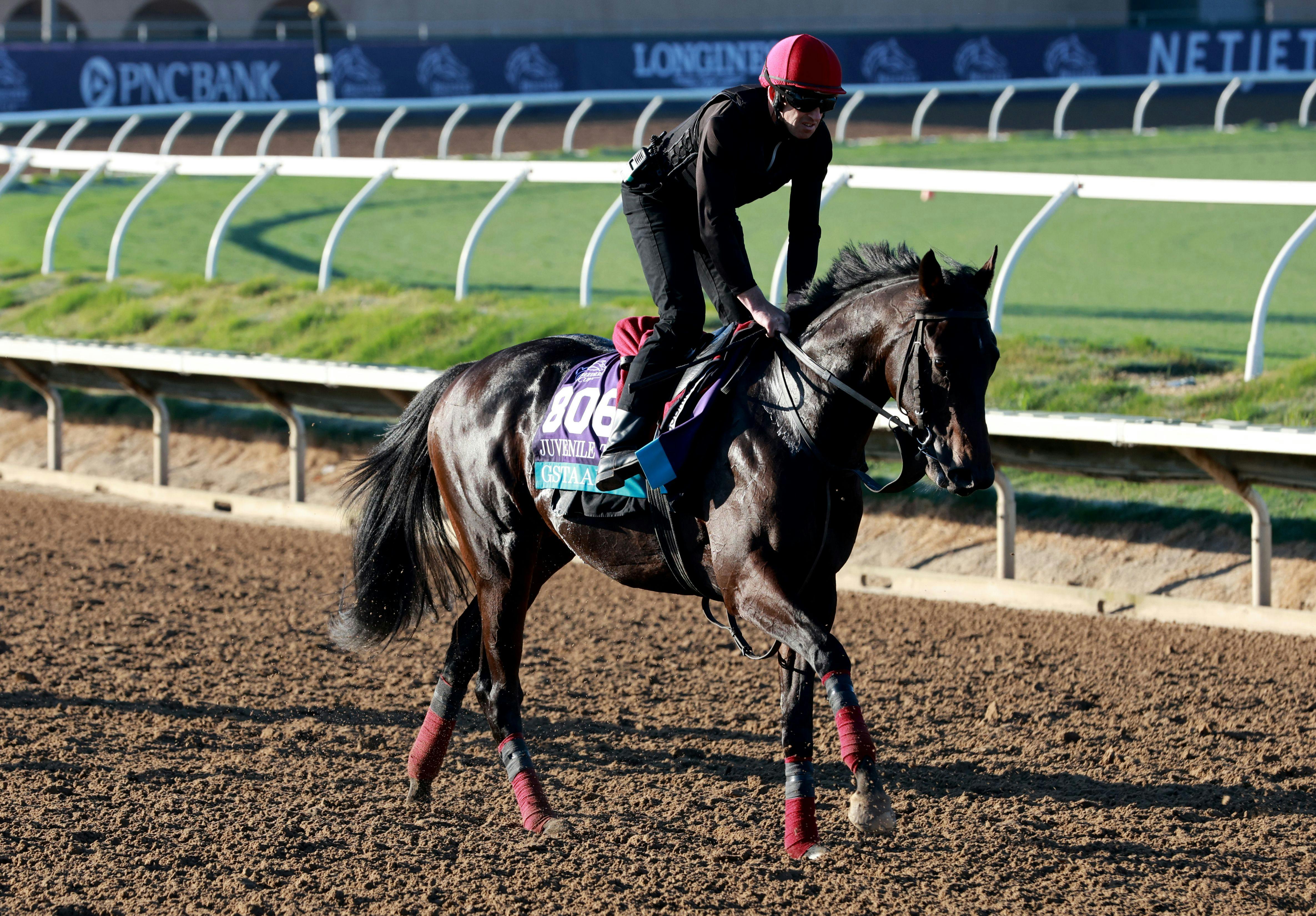 Gstaad training for Breeders' Cup Juvenile Turf at Del Mar
