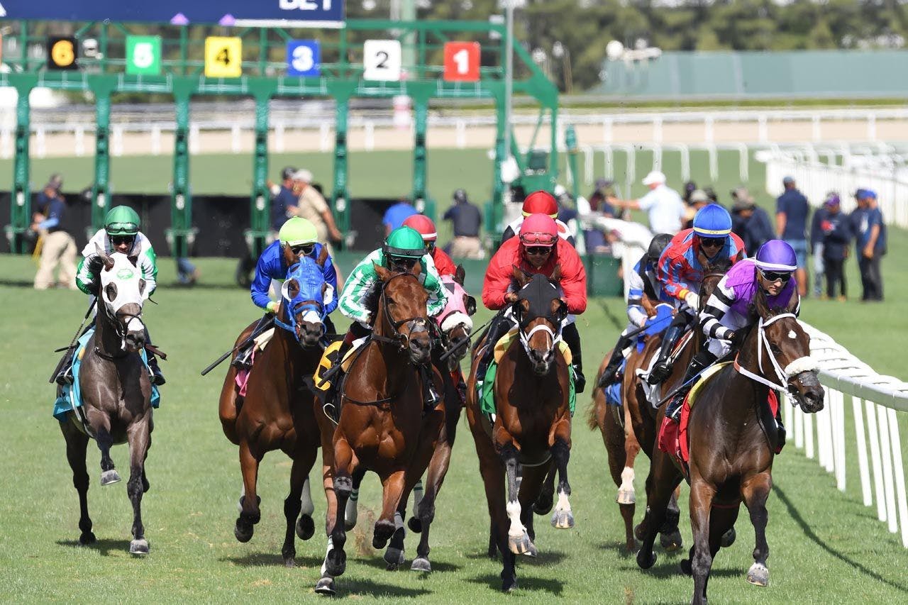 Pick 3 for Gulfstream Feb. 4, including Forward Gal Stakes TwinSpires