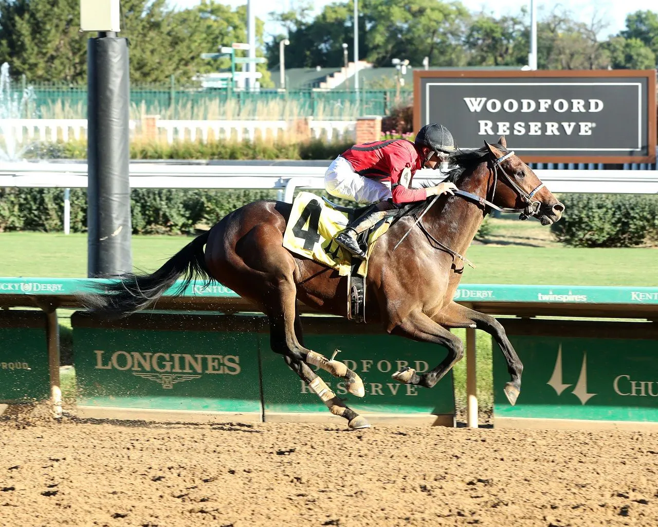 Breeders' Futurity Stakes