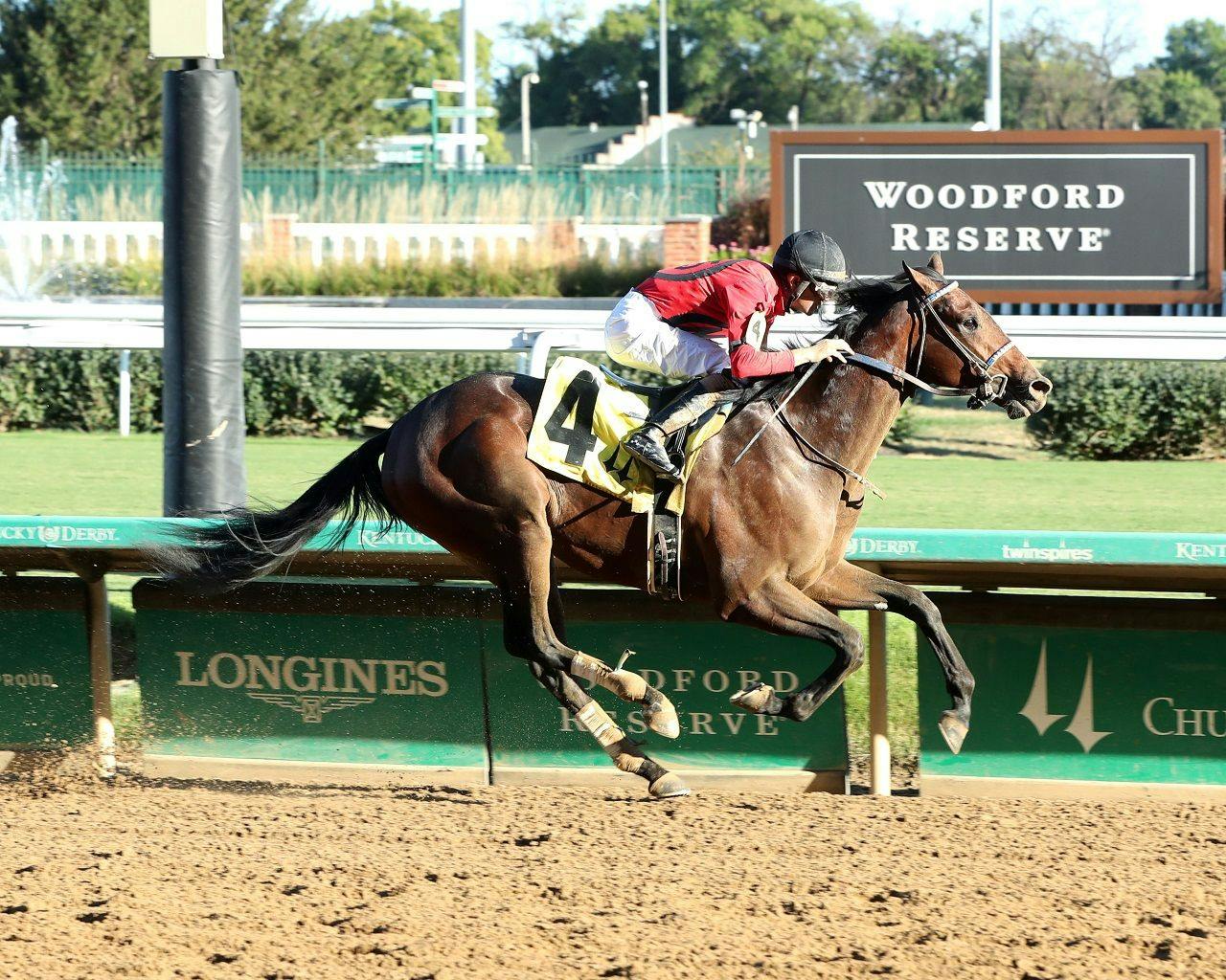 Handsome Pants winning his debut at Churchill Downs (Photo by Coady Media)