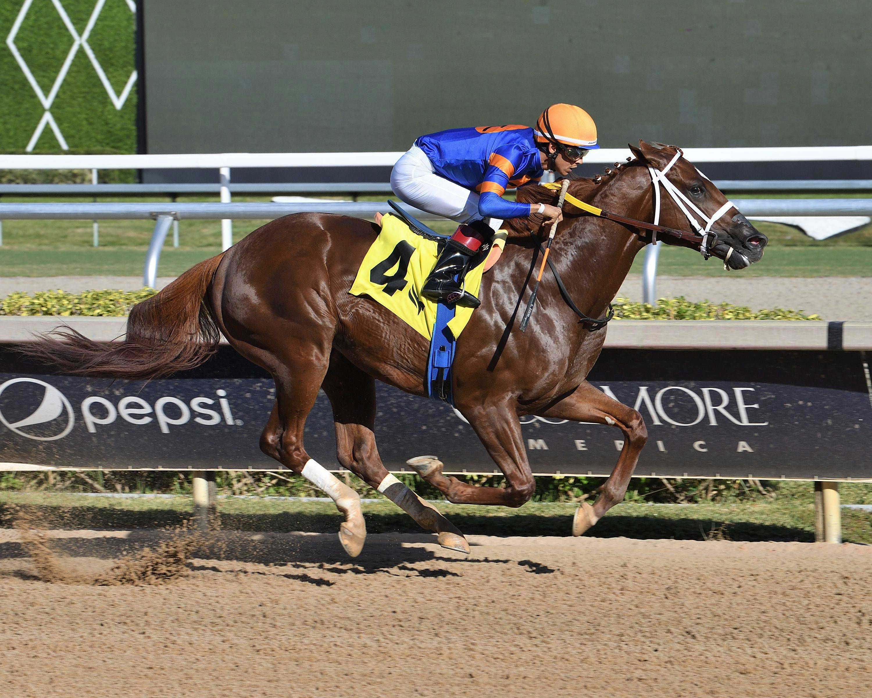 Hammond wins the Juvenile Sprint.