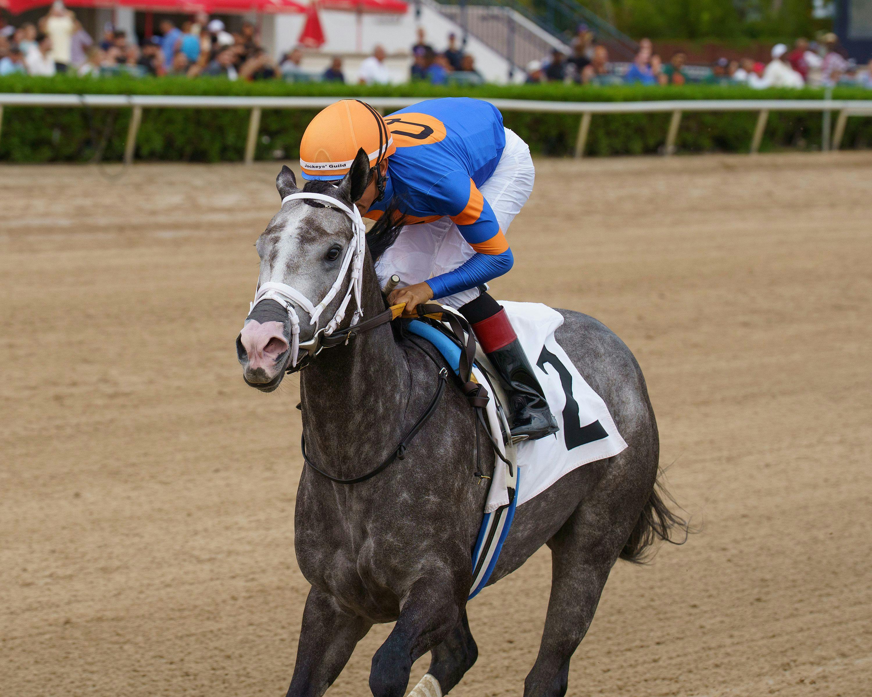 Haulin Ice wins the Princess Rooney at Gulfstream Park.