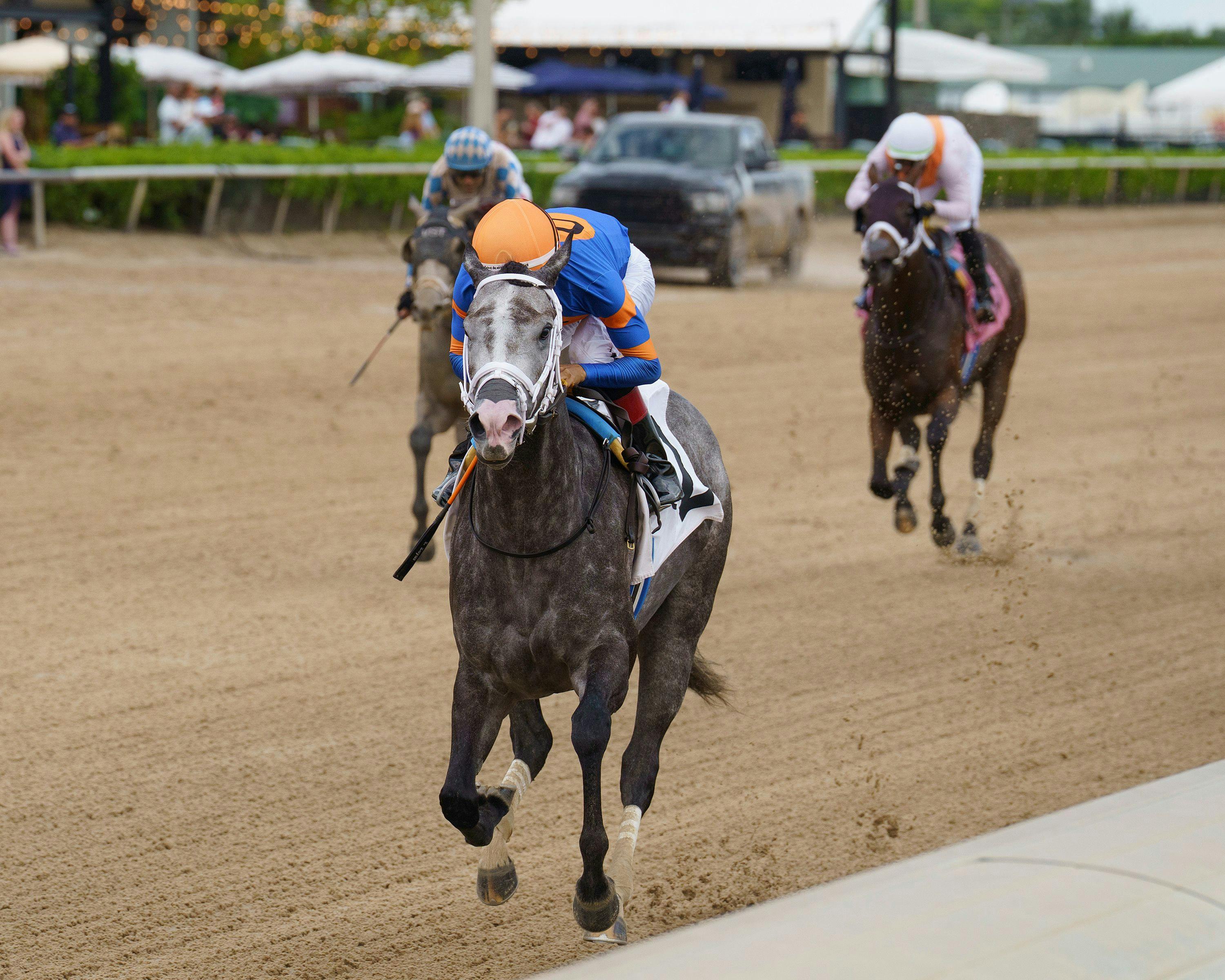 Haulin Ice wins the Princess Rooney at Gulfstream Park.