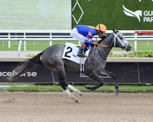 Haulin Ice wins the Princess Rooney at Gulfstream Park.