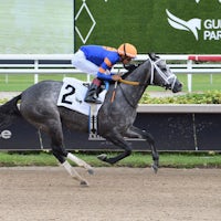 Haulin Ice wins the Princess Rooney at Gulfstream Park.