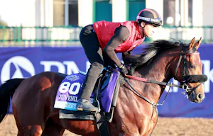 Heeere's Johnny training for the 2025 Breeders' Cup