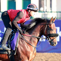 Heeere's Johnny training for the 2025 Breeders' Cup