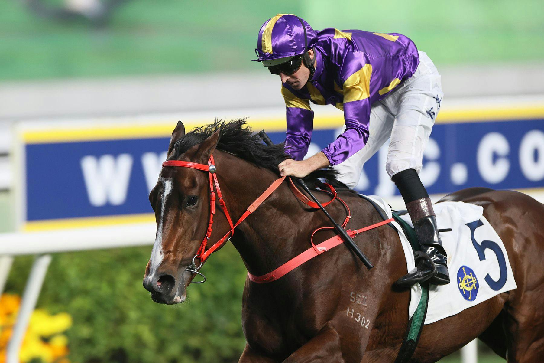 Hong Kong Selections Feb. 4: Helios Express the one to beat in Classic ...