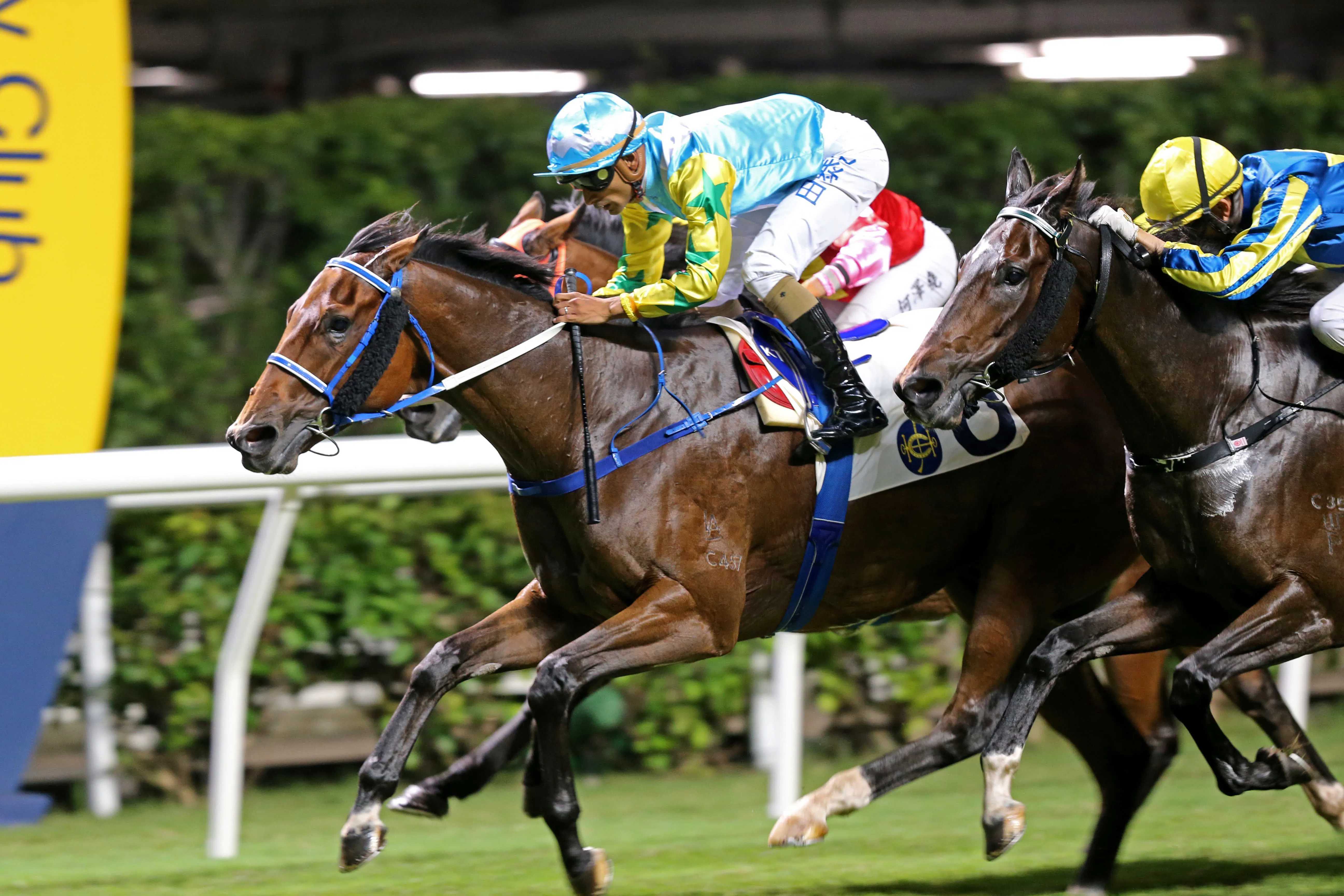 Galant Racing Hong Kong Preview: Gallant Waking ready for step up in dista | TwinSpires