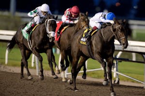 He's Not Joking wins the Grey S. at Woodbine.