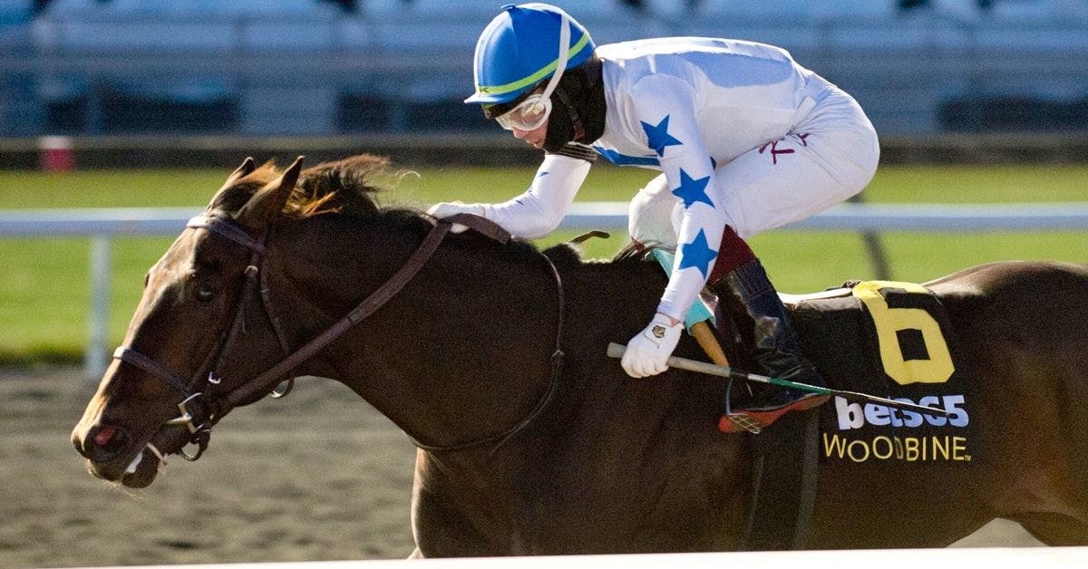 He's Not Joking wins the Grey S. (G3) at Woodbine.