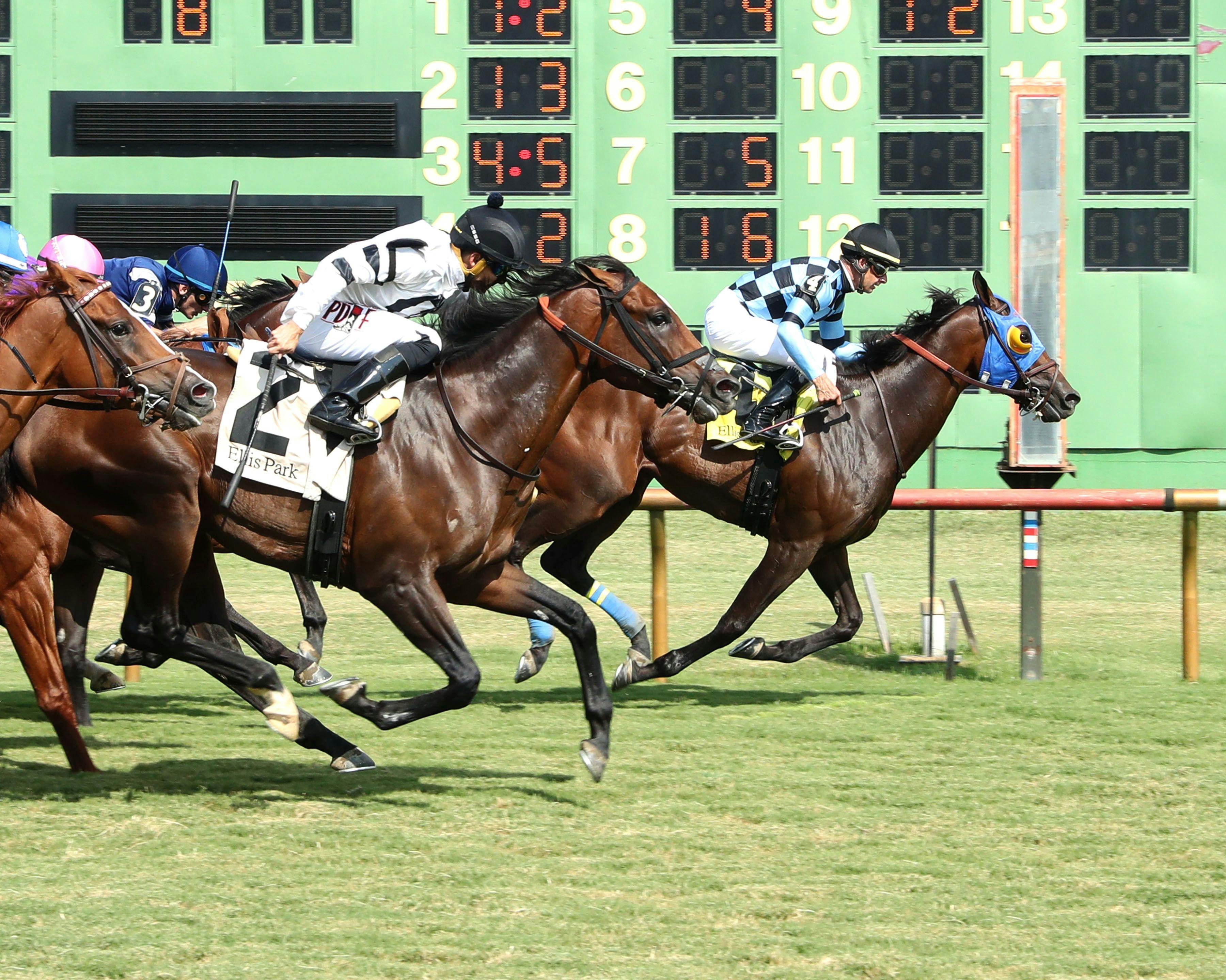 Higgins Boat wins at Ellis Park (Photo by Coady Media)