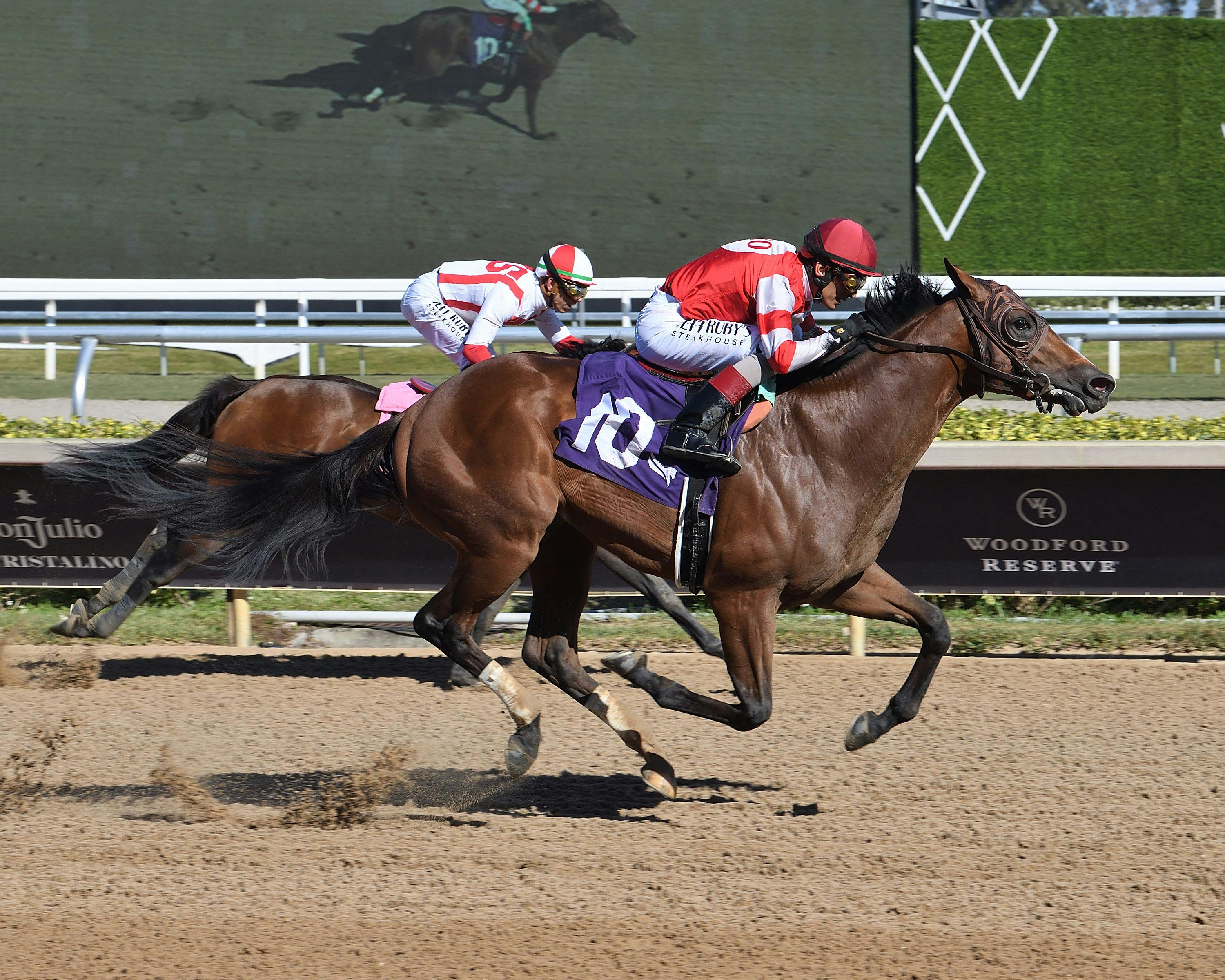 High Camp wins at Gulfstream Park. 