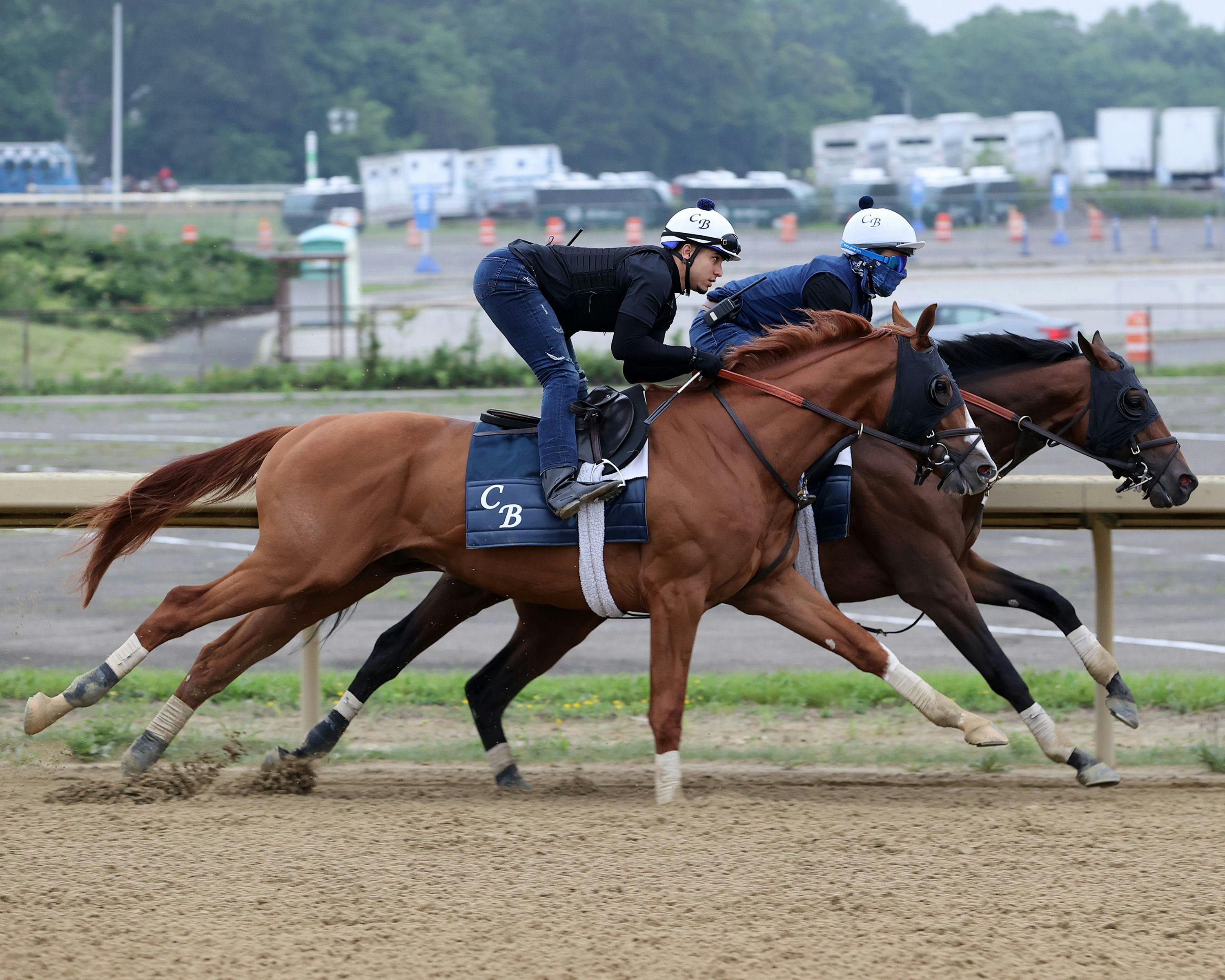 Hill Road training at Saratoga for the Belmont Stakes (Photo by Coglianese Photos/Susie Raisher)