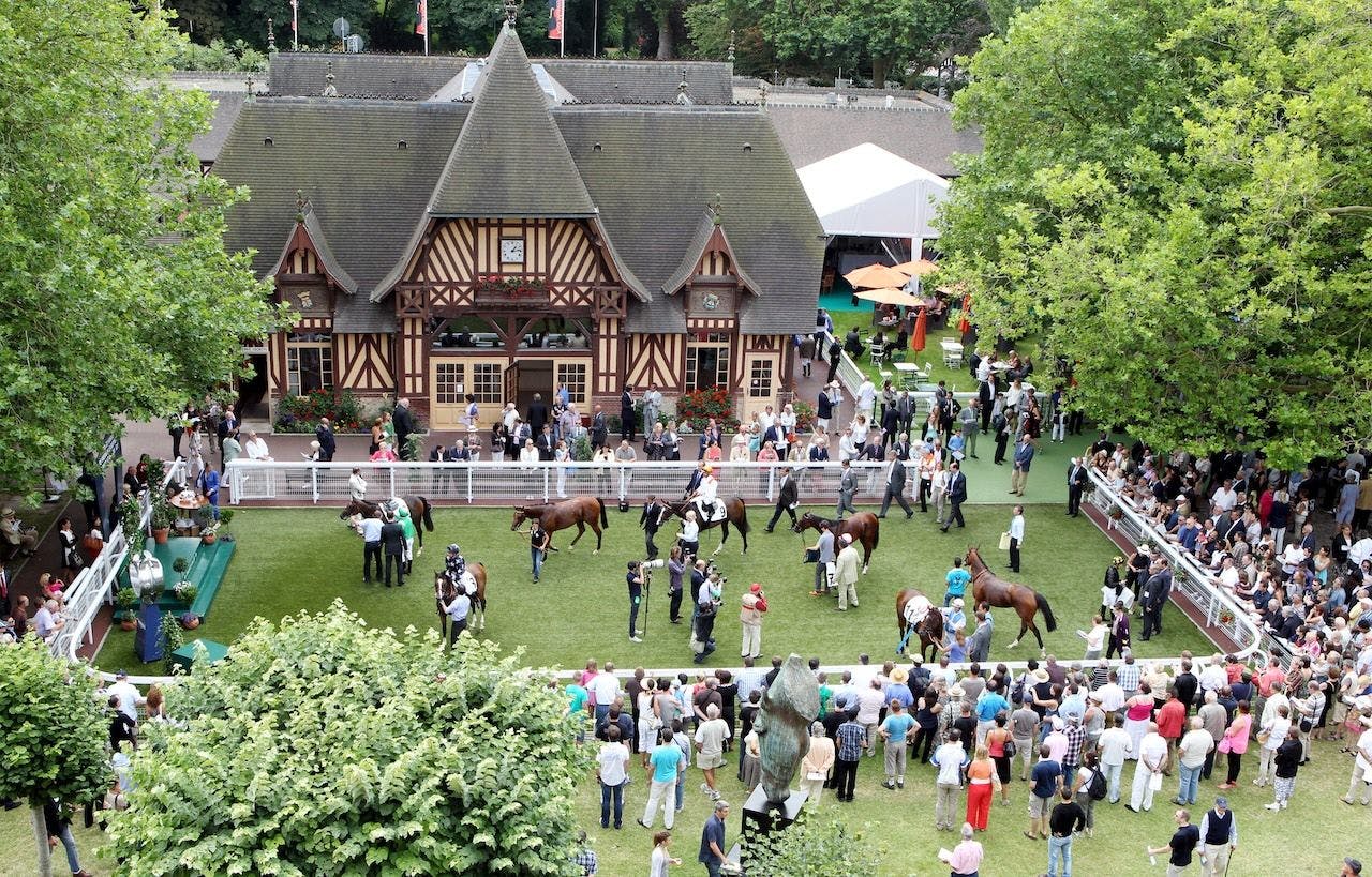 Deauville Paddock Scenic.