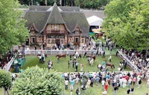 Deauville Paddock Scenic.