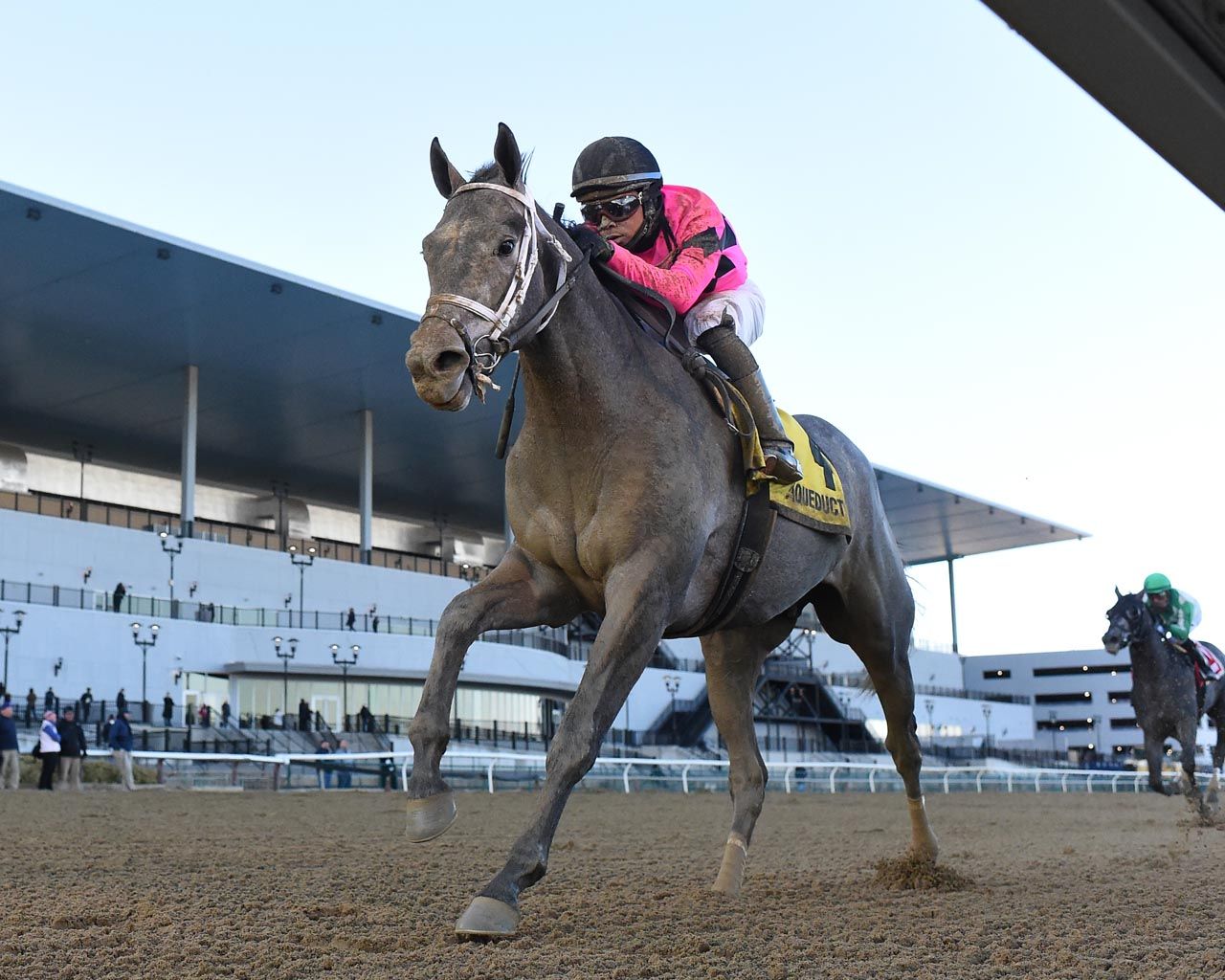 Kentucky Derby Pedigree Profile: Hit Show | TwinSpires