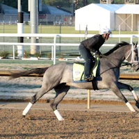 Hit Show trains at Churchill Downs 2023