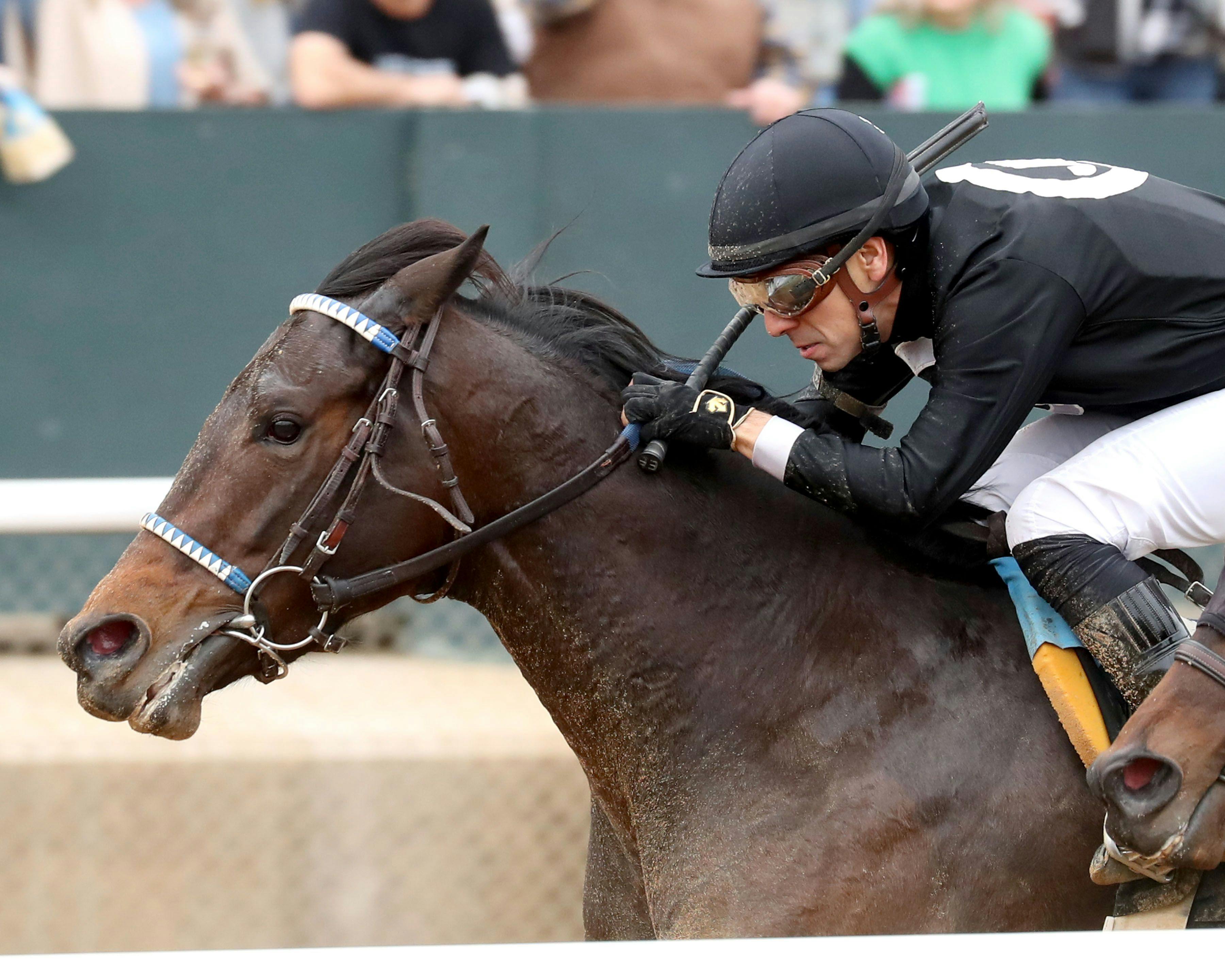 Honey's to Blame wins at Oaklawn Park.