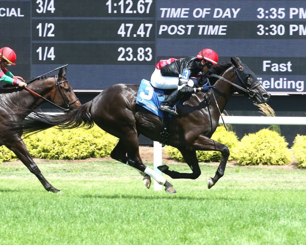 How to bet the Unreachable Star Handicap TwinSpires