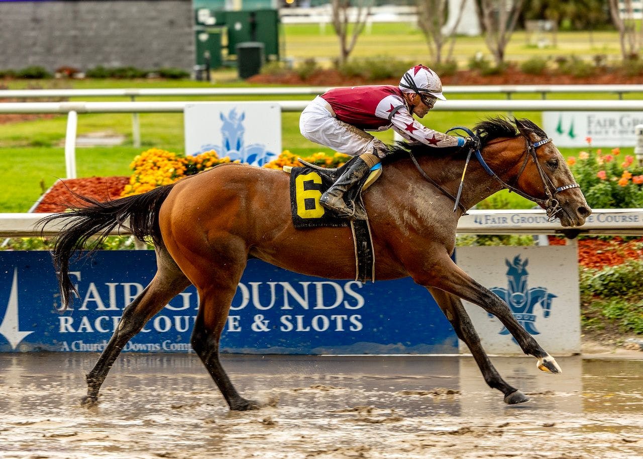 Hypnus wins at Fair Grounds.