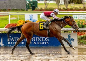 Hypnus wins at Fair Grounds.