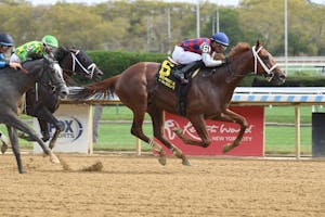 Igniter breaking his maiden at Aqueduct