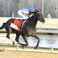 Incredibolt wins the Virginia Derby at Colonial Downs.