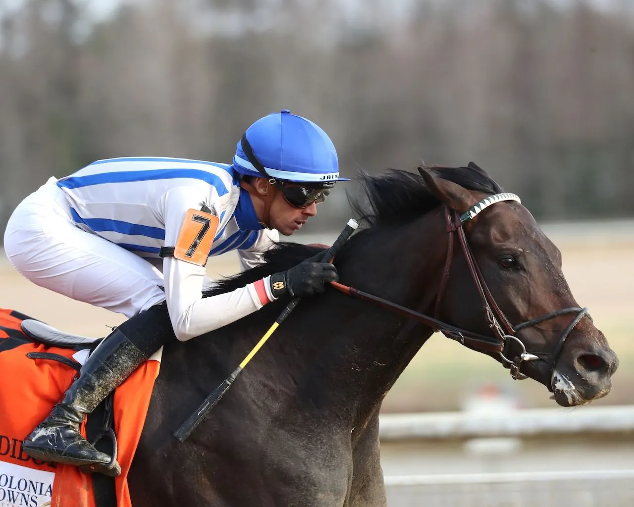 Incredibolt wins the Virginia Derby at Colonial Downs. 