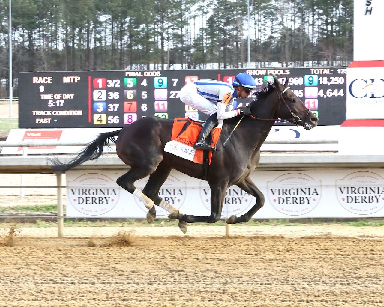 Incredibolt wins the Virginia Derby at Colonial Downs. 