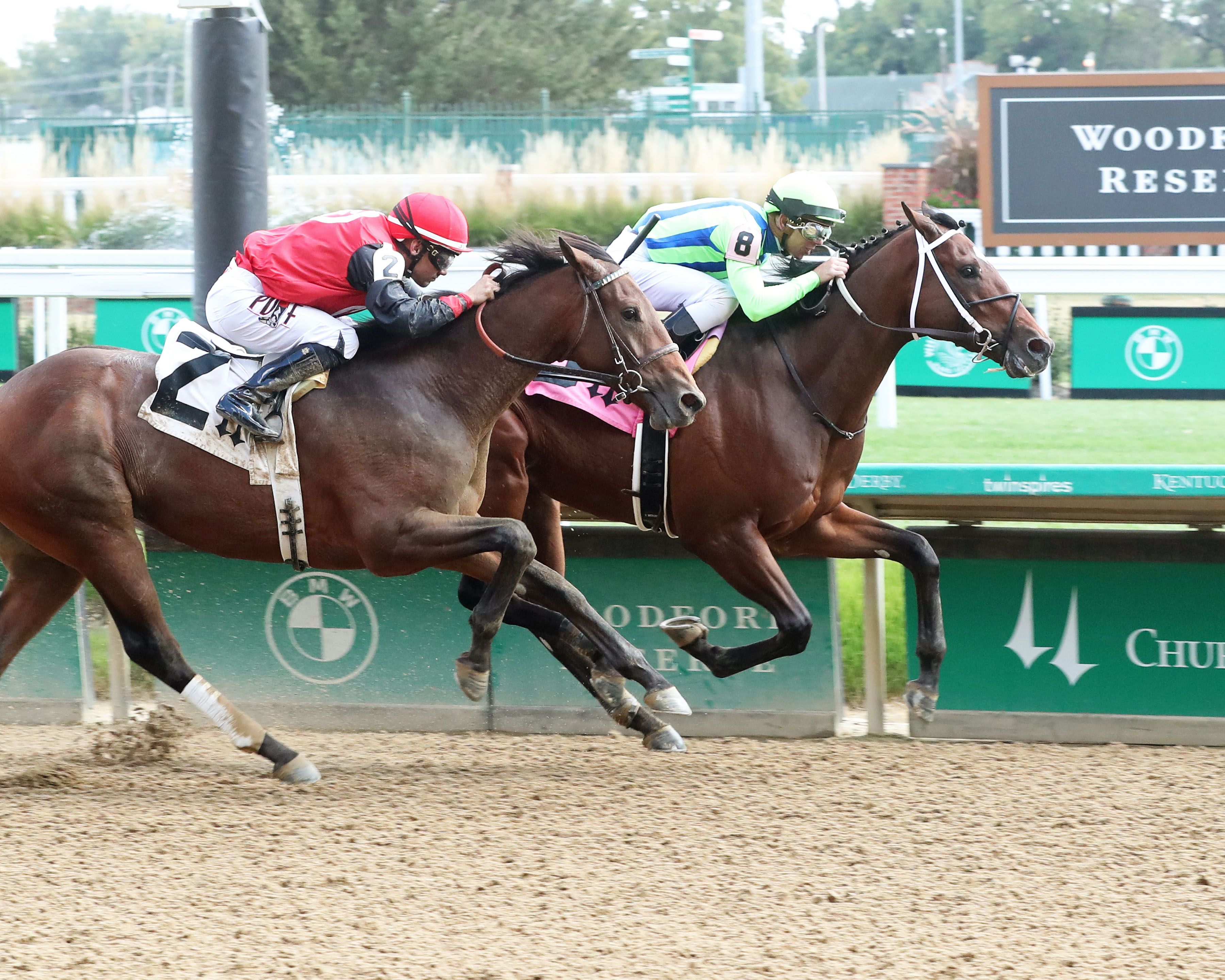 Breeders’ Cup Juvenile Maiden Watch: Asmussen Trainees | TwinSpires