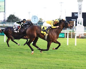 Bourbon Thirty wins at Churchill Downs. 
