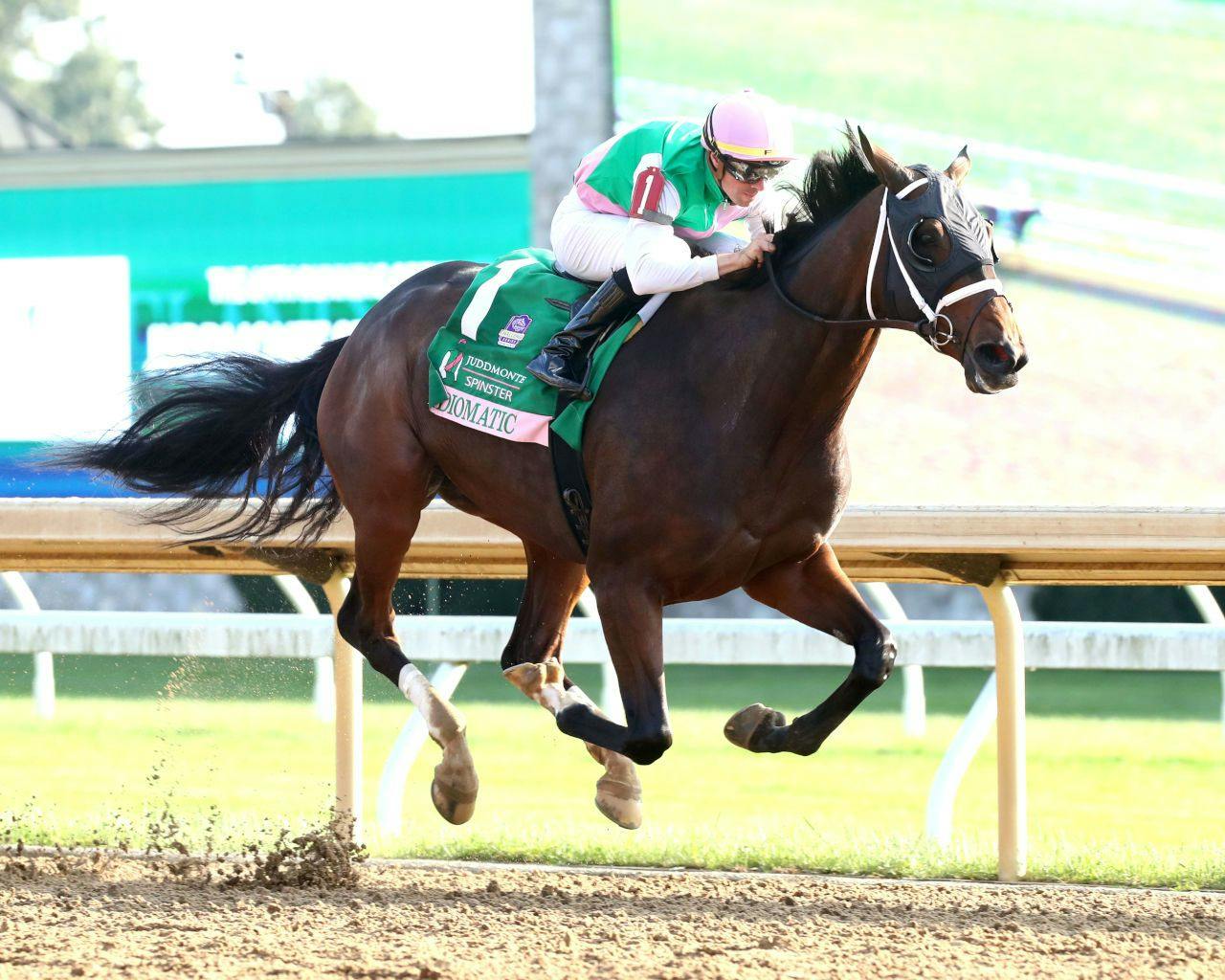 Idiomatic winning the 2024 Spinster (G1) at Keeneland (Photo by Coady Media)