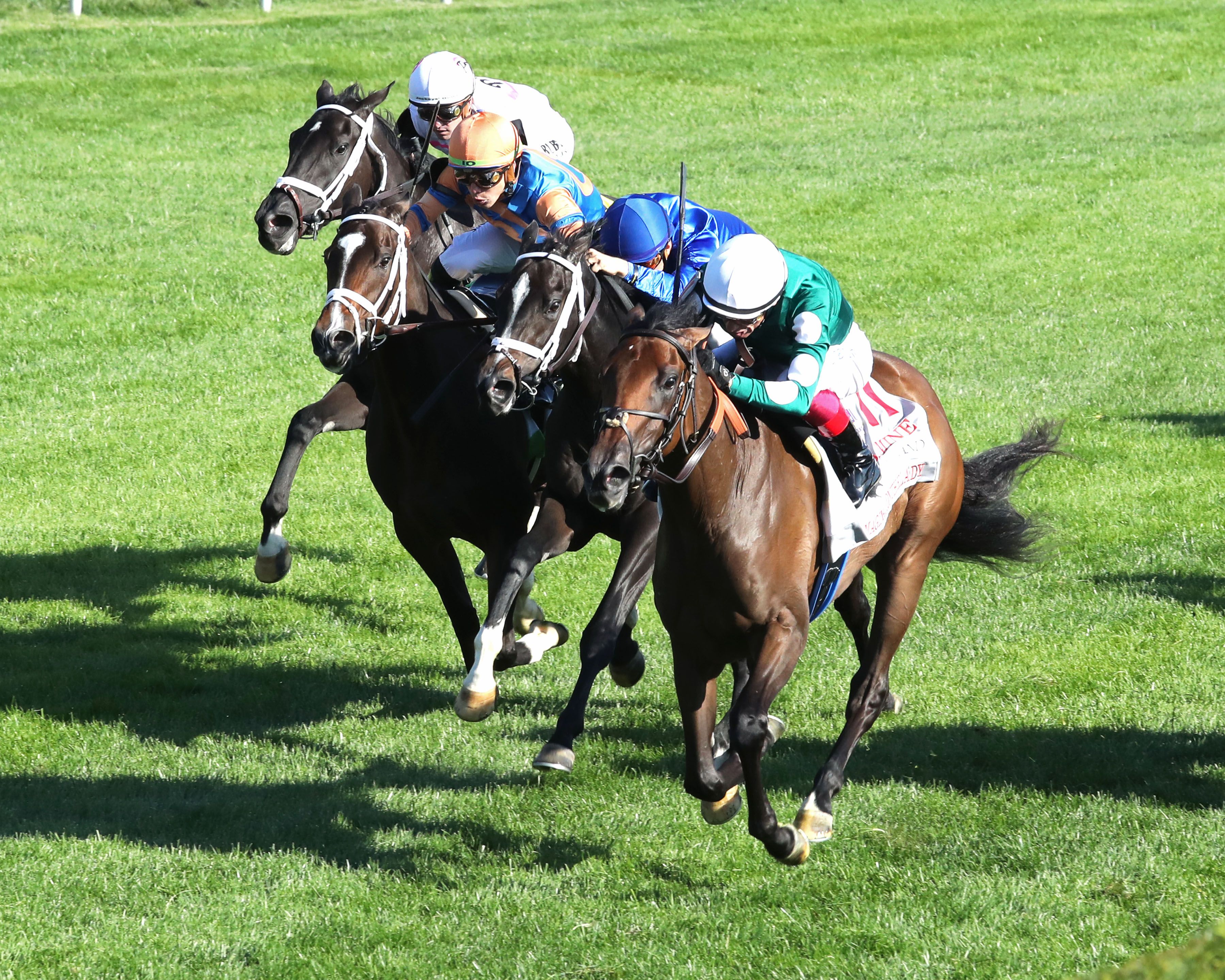 Imaginationthelady prevails over the troubled Infinite Sky and Time to Dream in the Jessamine (G2)