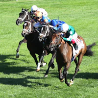 Imaginationthelady prevails over the troubled Infinite Sky and Time to Dream in the Jessamine (G2)