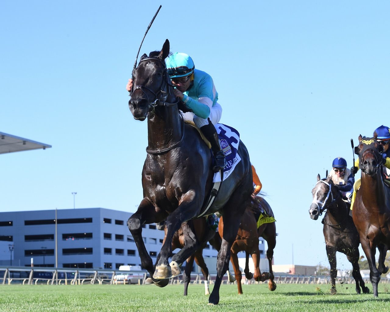 Intricate Spirit wins the Futurity at Belmont at the Big A. 