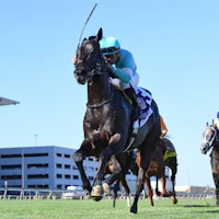 Intricate Spirit wins the Futurity at Belmont at the Big A.
