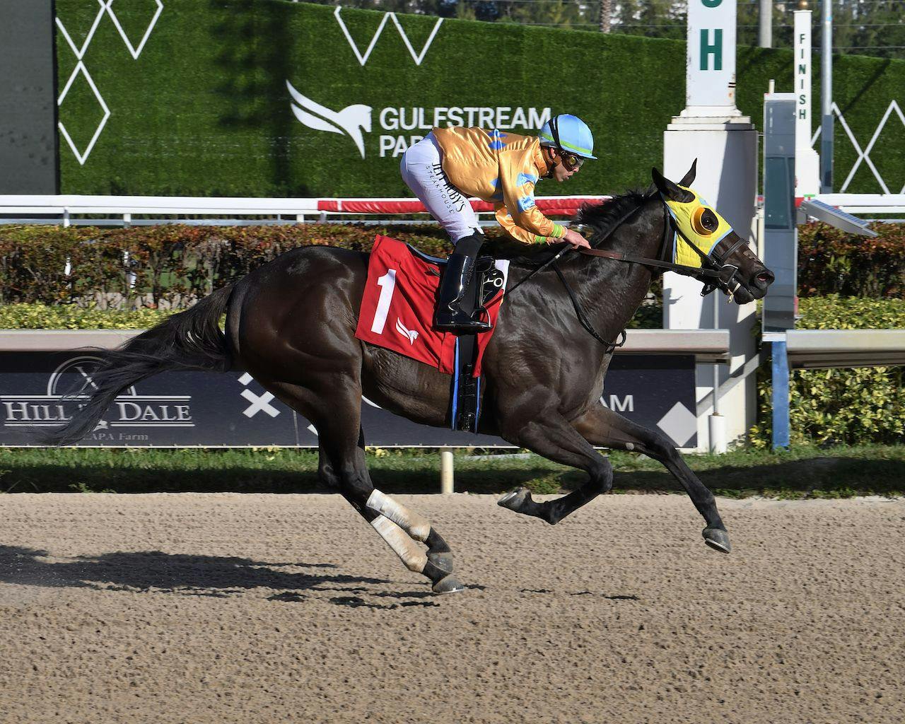 Preakness berth on the line in Federico Tesio Stakes | TwinSpires