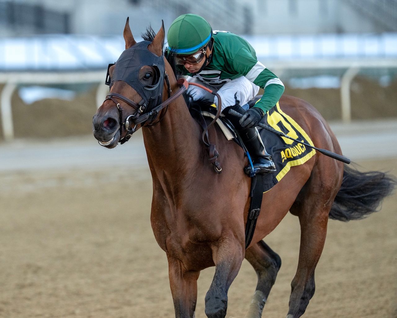 Iron Honor wins the Gotham Stakes at Aqueduct.