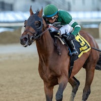Iron Honor wins the Gotham Stakes at Aqueduct.
