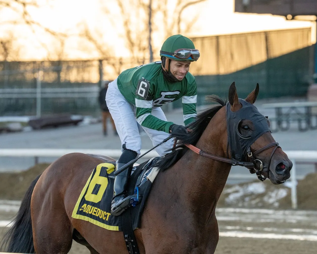 Iron Honor wins the Gotham Stakes at Aqueduct.