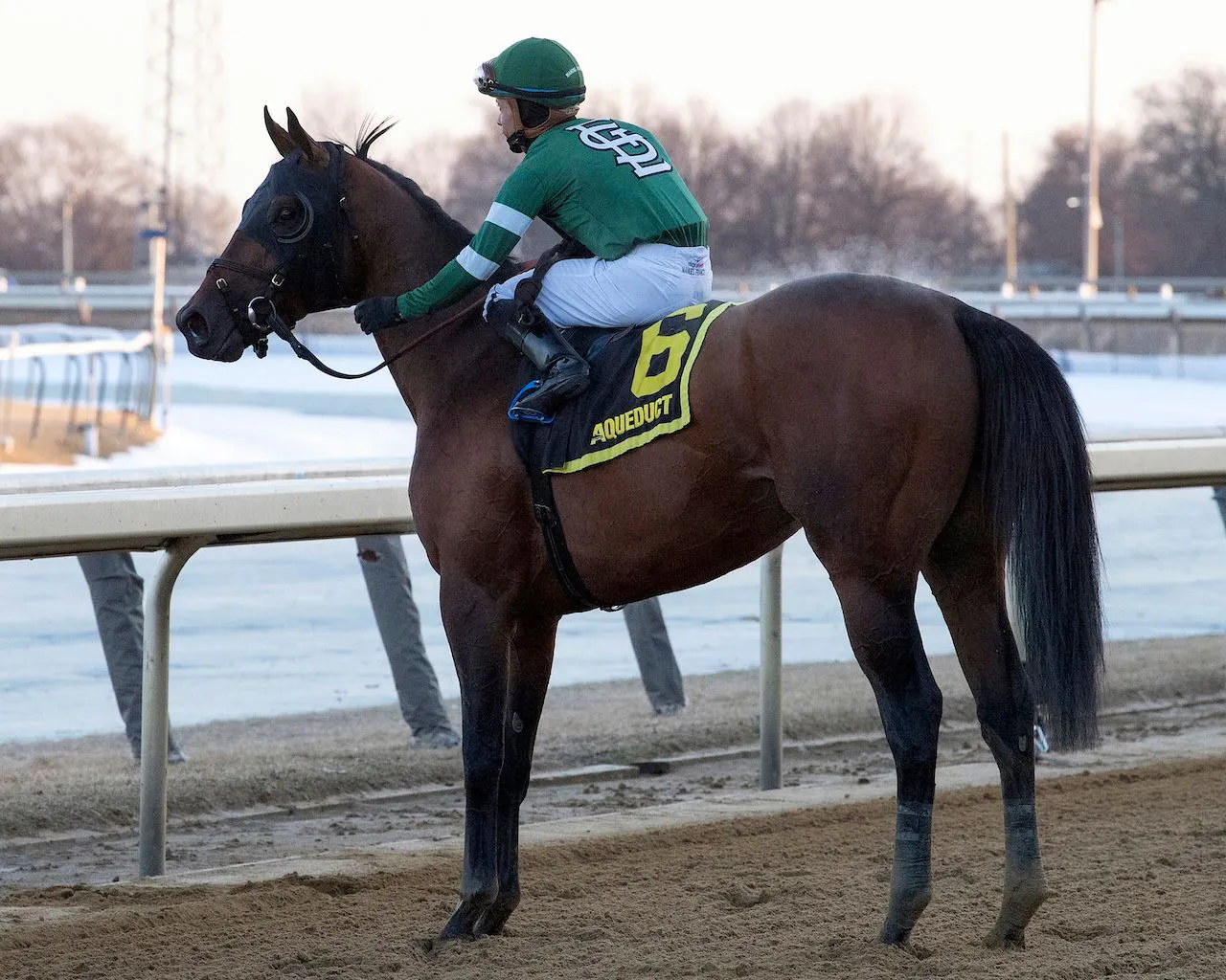 Betting the 2026 Preakness Stakes on Different Budgets