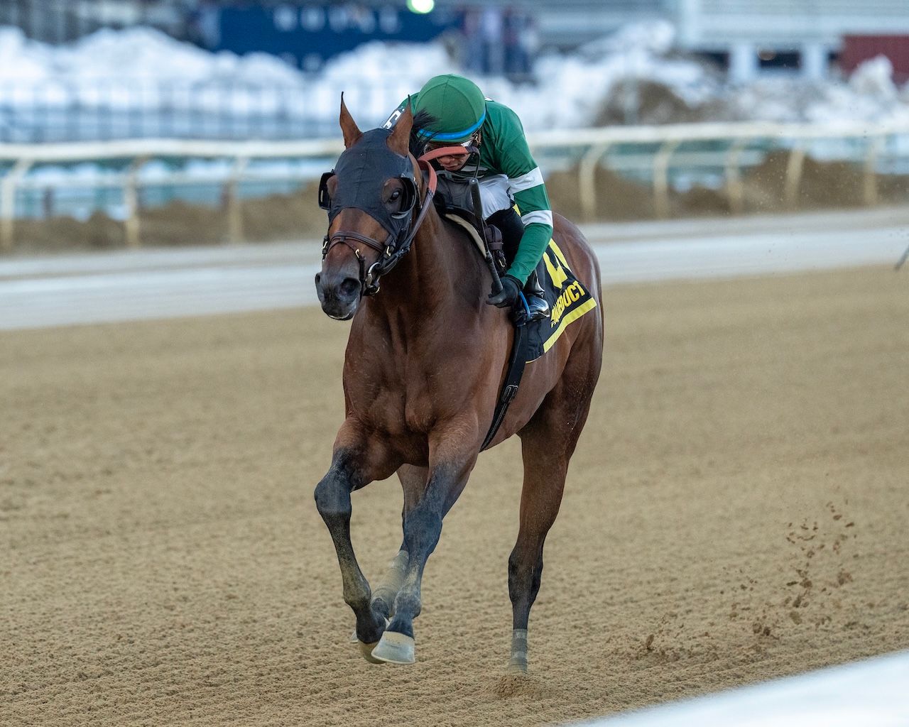 Iron Honor wins the Gotham Stakes at Aqueduct.