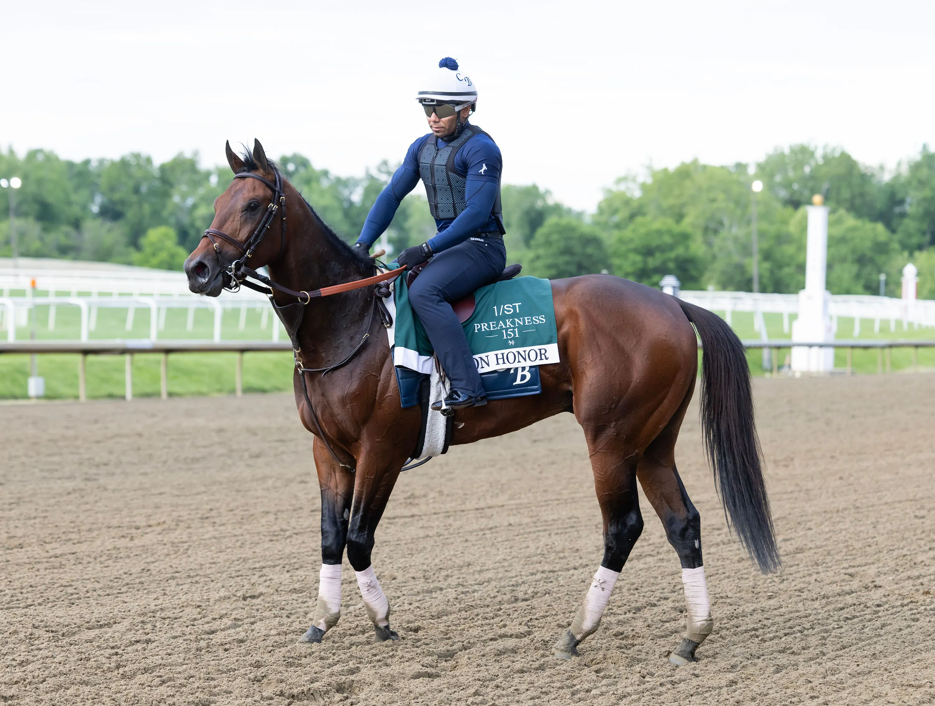 Iron Honor trains ahead of the Preakness Stakes (Photo by Equi-Photo)